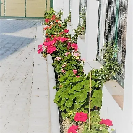 Vaggelis Holiday home